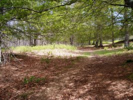 Irupagoetatik Lizarrustirako bidea