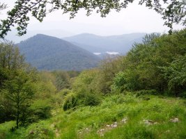 Irupagoeta-Lizarrusti: Alleku, Lareo eta Sastarri