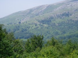 Irupagoeta-Lizarrusti: Enirio