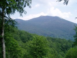 Irupagoeta-Lizarrusti: Putxerri