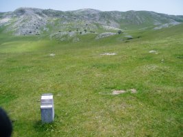 Beaskin mairubaratza