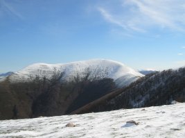 saioa lehen elurteekin