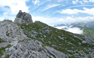 Gailurra osatzen duen dorrea