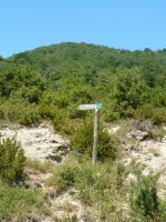 Arburuako behatokiaren adierazgarria