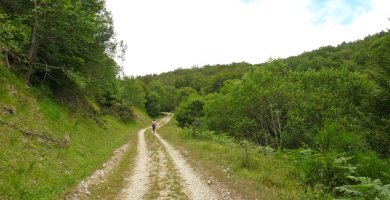 Bidea Urdamaña sakanean