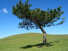 Oamendi tontorraren inguruan