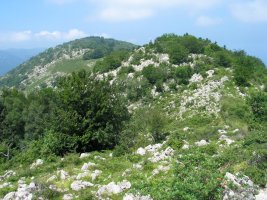 HEko azken muinotik ikusita