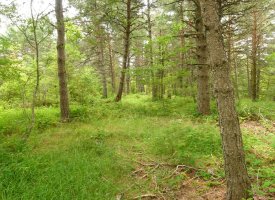 Lizarragako Iparraldeko gailurra (1202m)