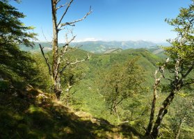 Panorama urria Goiko Soroko gailurretik