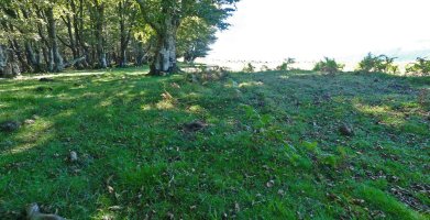 Baztarrolako tumulua