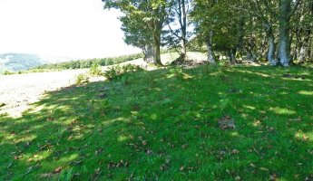 Baztarrolako tumulua