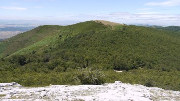 Burgalaitzetik ikusita