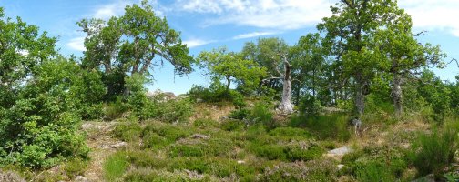 Aezkoargaingo ekialdeko gailurra. Azken metroak