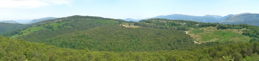 Bizkailuz Aezkoargaindik