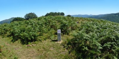 Biuztaingo tumulua, garoek irentsita