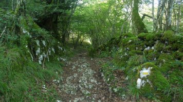 Estrata baten itxura du tarte batzuetan