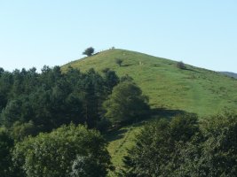 Atxurbide / Dorrontsorogaña