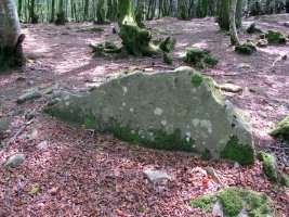 LEGATE 7 (Etxeberzea)