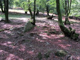 LEGATE 7 (Etxeberzea)