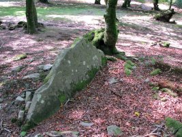 LEGATE 7 (Etxeberzea)