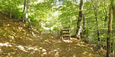 Ataka Makurlegiko sakanean, Leateko Harriko bidean