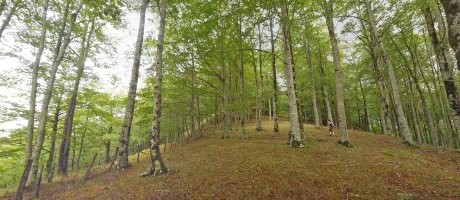 Xaukadiko pagadi garbia