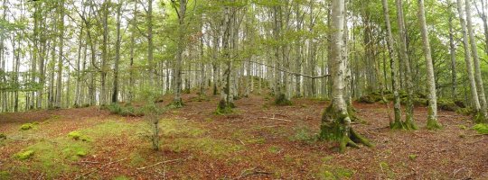 Leateko Harria, gailurraren inguruak