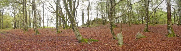 Erregerenako mugarriak eta atzean, gailurra