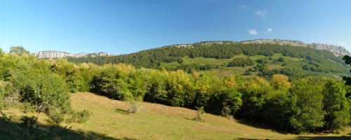 Bonbagaineko gaineko larreak