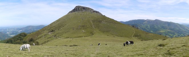 HMko lepotik ikusita