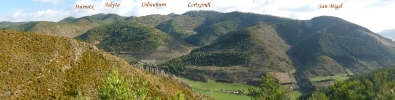 Mendialdeko gainak Aminagaindik