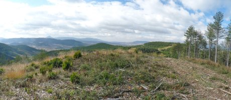 Irotzaldeko (Erkalaz) gailurra