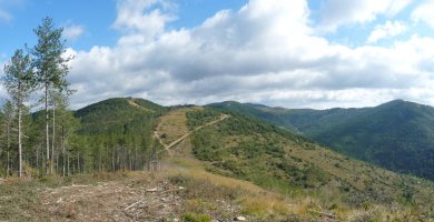 Irotzaldeko (Erkalaz) gailurra. Iparraldean Asketa, Beltzunegi, Lakarri...