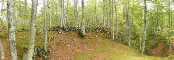 Antzinako murrua Zepoetako Lepoan