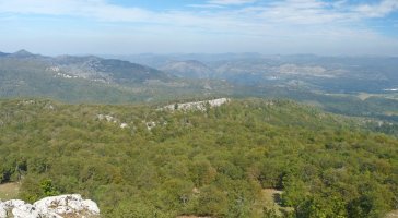 Posteroko Haitza Artxuetatik