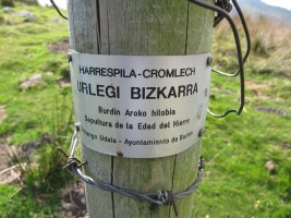 URLEGIKO BIZKARRA