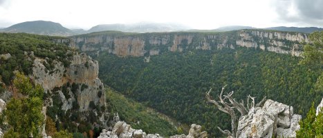 Arbaiungo arroilaren erdialdea Peñakornotako talaiatik