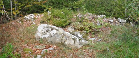 Jorabilako trikuharria