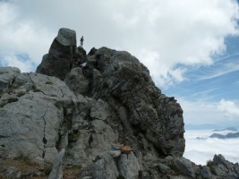 Sorbarkalgo gailurra