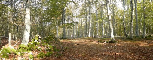 Saldisgaingo gailurra