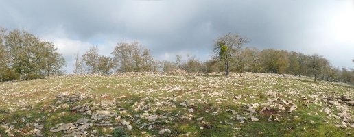 Debata gainaldeko larreak