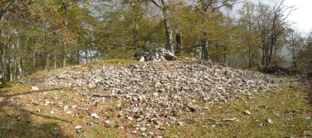 Debatako gailurreko trikuharri handia