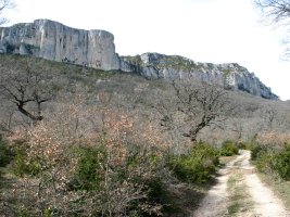 Aramendia aldeko bidea