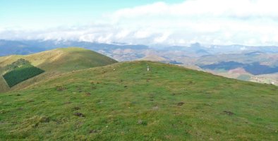 Arramaletako bizkarreko harrespila