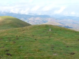 Arramaletako bizkarreko harrespila