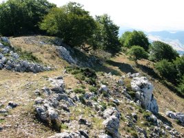 Ermitatik gora datorren bidea