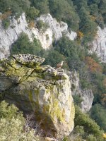 Putrea Iñarbeko arroilean