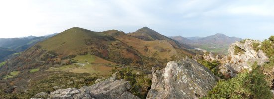 Aizparatzeko gandor harritsua