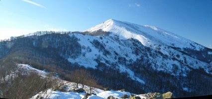 Olateko gandorra, Auza erraloiak txikiagotuta