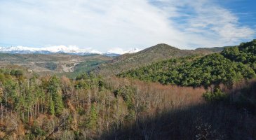 Zaraitzu eta Coronas mendatearen ikuspegia bidetik